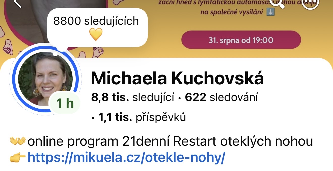 Instagram profil Michaely Kuchovské, 8 800 sledujících